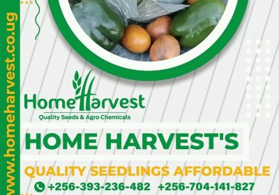 home-harvest